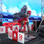 (Pre-Order) Azur Lane - Taihou - Enraptured Companion Ver. - 1/7 Scale Figure