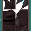 (Pre-Order) Honkai: Star Rail - Aventurine Theme - Vest